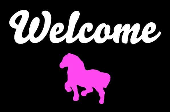 Pink Pony Cafe