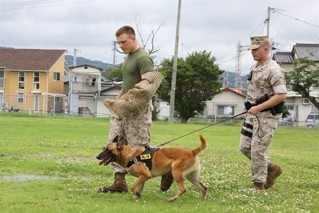 MCAS Iwakuni Veterinary Clinic