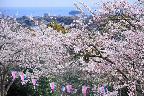 Kinugasayama Park