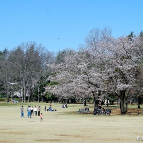 Kozakibana Park