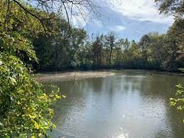 Loop Creek Park