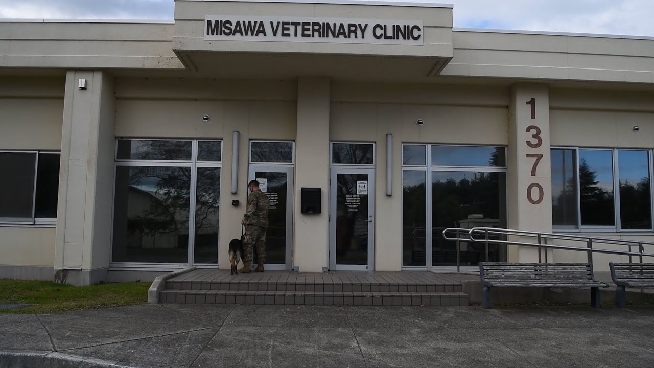 Misawa AB Veterinary Clinic