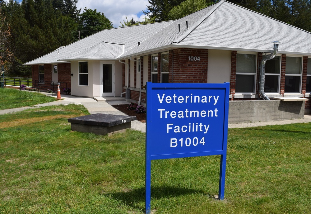 Bangor Vet Clinic