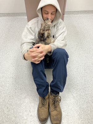 Point Loma Pet Hospital