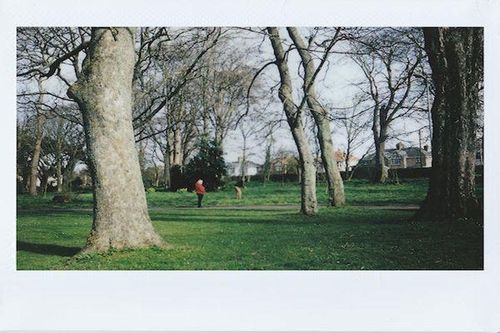 Ned Houk Memorial Park
