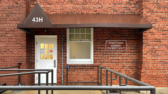 Great Lakes Veterinary Clinic