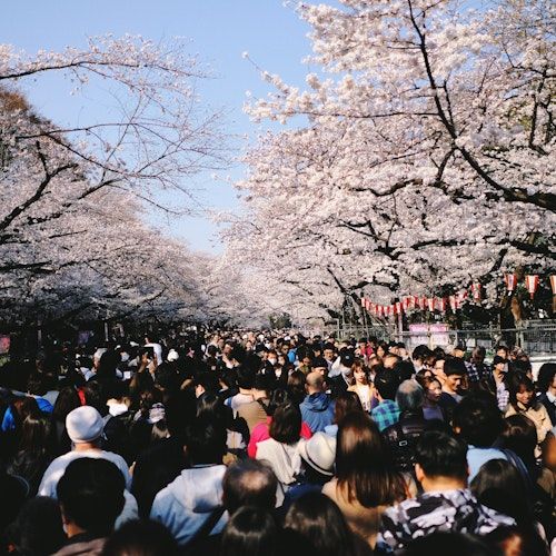 Omura Park