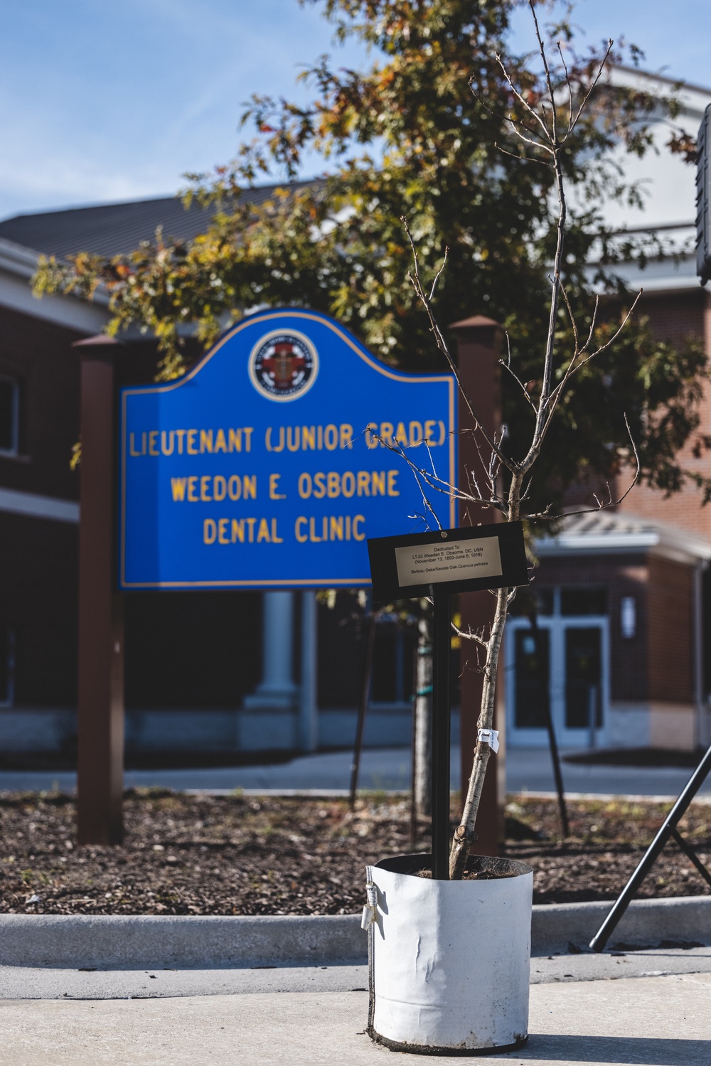 Osborne Dental 2nd MLG