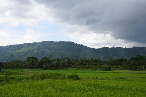 Pigkawayan