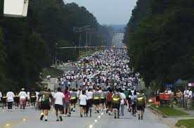 Run Cell Fort Bragg