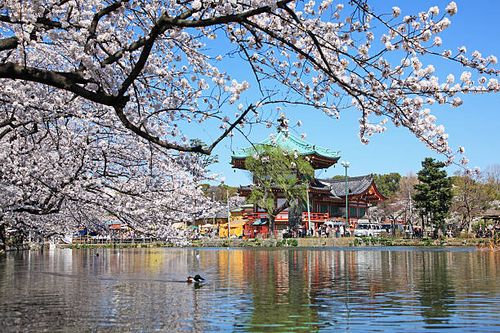 Senryugataki Park