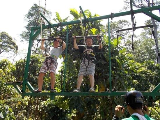 Tree Top Adventure