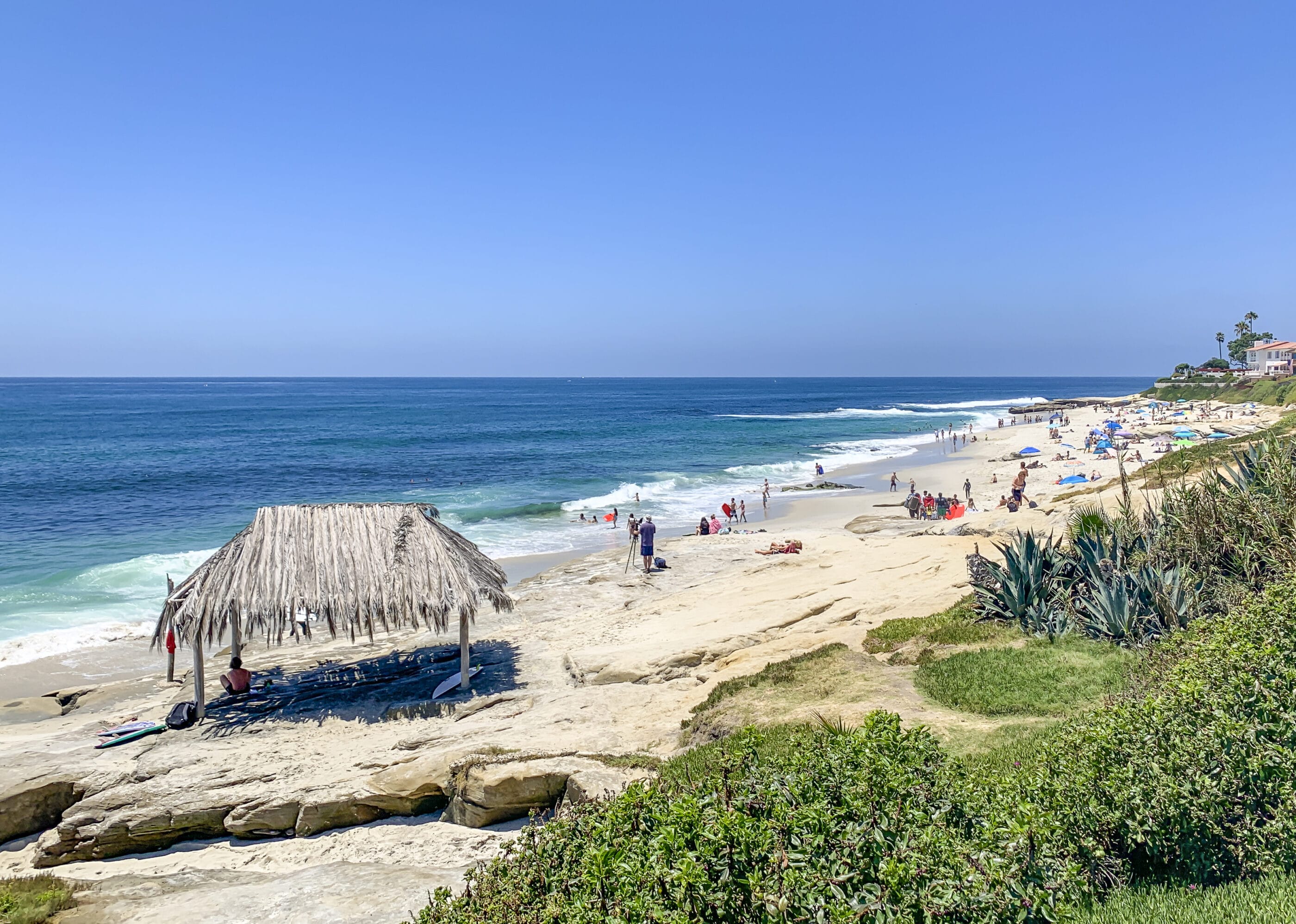 Windansea Beach